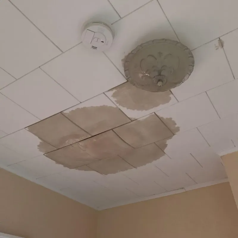 Ceiling Water Damage Repair in Fircrest, WA