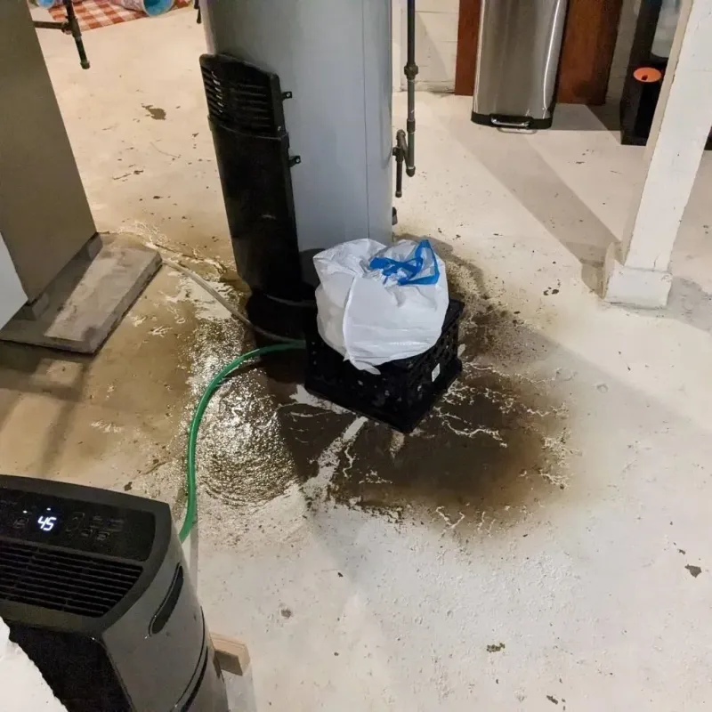 Sewage Backup Cleanup Service in Fircrest, WA